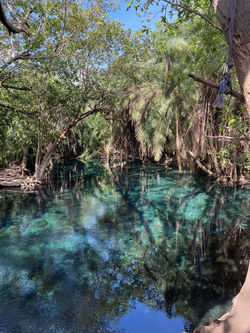 HotSprings
