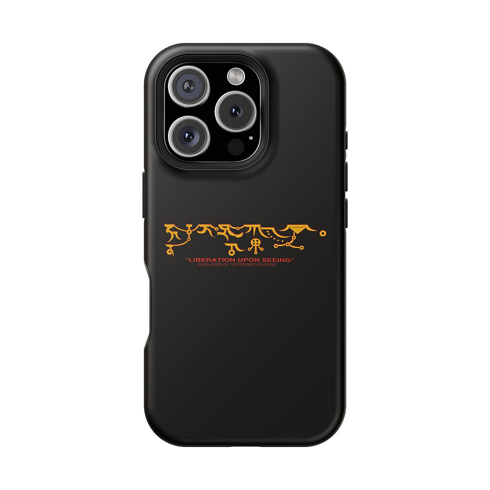 Thumbnail: iPhone Impact-Resistant Cases