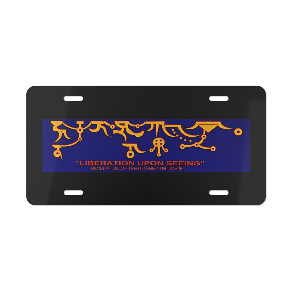 Liberation Upon Seeing License Plate