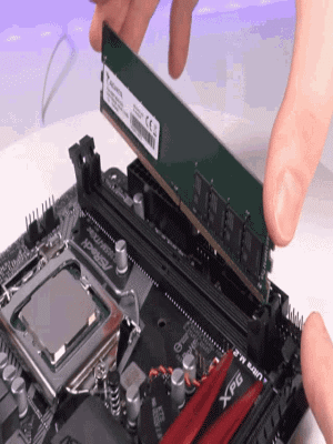 gif1.gif