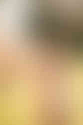 USC Graduation portrait shot by Paper Birch Collective, Orange County Photographers