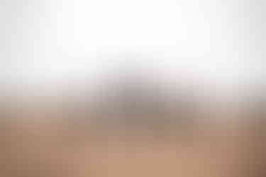 Wedding party portraits at cliff side summer wedding overlooking Point Vicente Lighthouse in Rancho Palos Verdes, California, shot by Paper Birch Collective, Orange County Wedding Photographer, Los Angeles Wedding Photographer