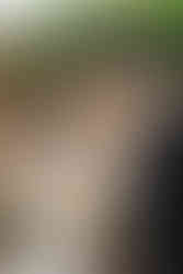 Bride smiling during groom's vows at first look at Aliso Viejo by Wedgewood Weddings by Alvis Pham Photography, Orange County California Wedding Photographer