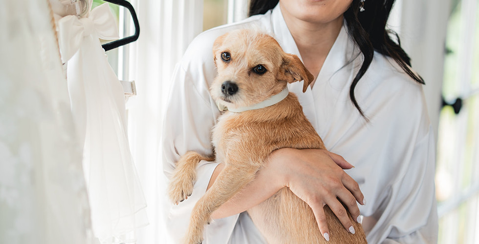 Bride and her dog as she gets ready for her wedding at Villa and Vine in Santa Barbara shot by Alvis Pham Photography, Orange County California Wedding Photographer