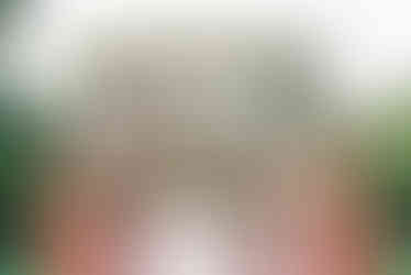 Film photography for Dream Wedding with an Ocean View in Palos Verdes Estates, California at La Venta Inn shot by Alvis Pham Photography, Orange County and Los Angeles Wedding Photographer