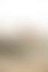 Engagement Session at Treasure Island, Laguna Beach, Photo by Paper Birch Collective, Orange County Wedding Photographers