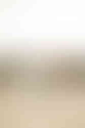 Engagement Session at Treasure Island, Laguna Beach, Photo by Paper Birch Collective, Orange County Wedding Photographers