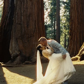 Couple dips and kisses after elopement at Sequoia National Park by Alvis Pham Photography, Orange County California Wedding Photographer
