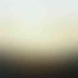 Couple watches sunset after elopement at Sequoia National Park by Alvis Pham Photography, Orange County California Wedding Photographer