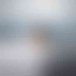 Bride and Groom portrait at Occasions at Laguna Village shot by Paper Birch Collective, Orange County Wedding Photographer, Laguna Beach Wedding Photographer