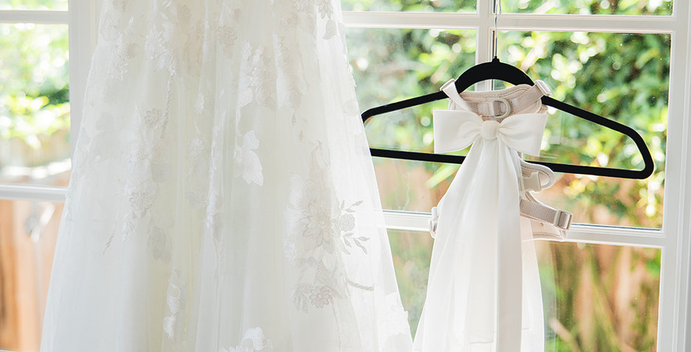 Bride's dress and dog's clothes hang together at Villa and Vine in Santa Barbara shot by Alvis Pham Photography, Orange County California Wedding Photographer