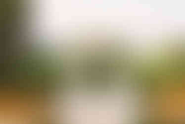 Film photography for Dream Wedding with an Ocean View in Palos Verdes Estates, California at La Venta Inn shot by Alvis Pham Photography, Orange County and Los Angeles Wedding Photographer