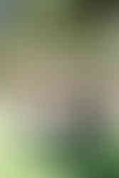 Cocktail hour at Giracci Vineyards shot by Alvis Pham Photography, Orange County California Wedding Photographer