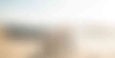 Man on one knee for Proposal shot by Paper Birch Collective, California Wedding Photographer and Videographer Team in Orange County