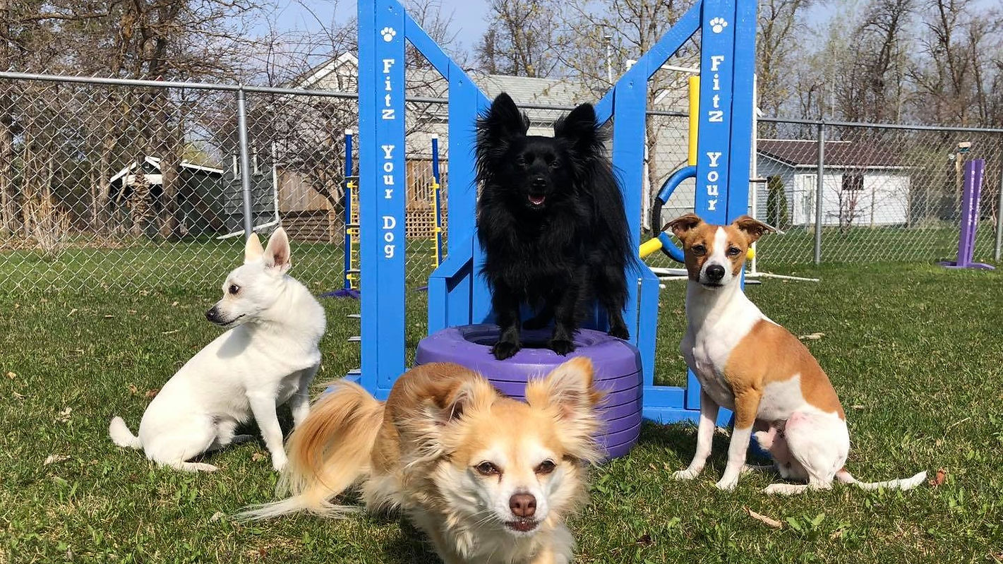 100088954_278360650197328_63335286664079