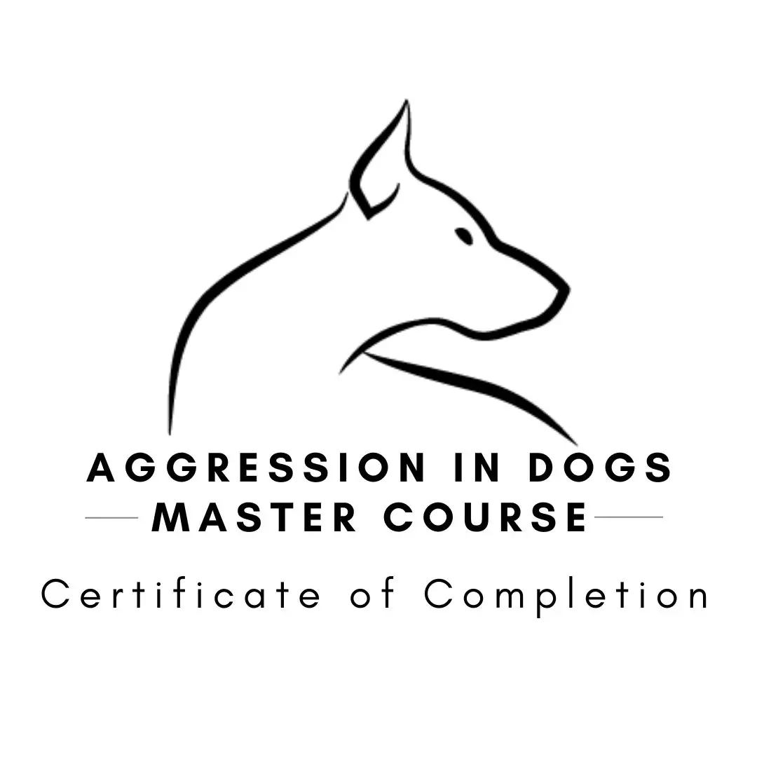 Aggressionindogsmastercourse-230210-221042.webp