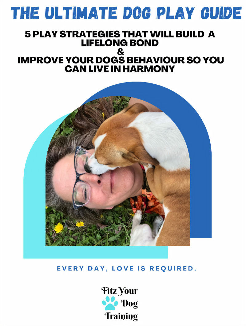 The Ultimate Dog Play Guide