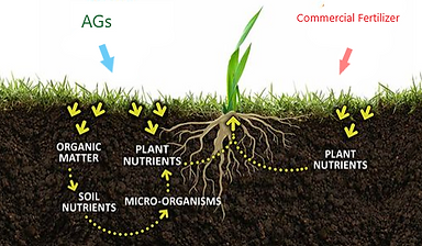 image for brochure agrinatural with logo