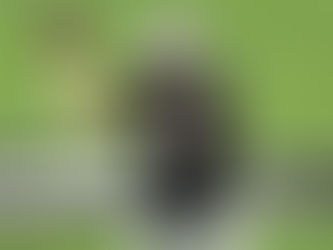 NFL PRR Following 2021: Quarterbacks