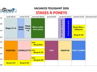 PLANNING DES VACANCES DE LA TOUSSAINT