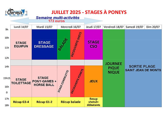 LES STAGES ETE P2 2025.jpg