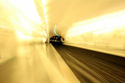 400819_3543490110159_105082796_n