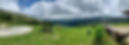 IMG_1661.jpeg