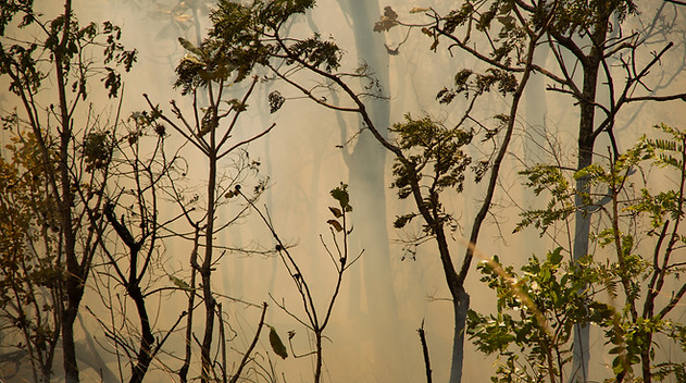 IMGP2926_edited.jpg