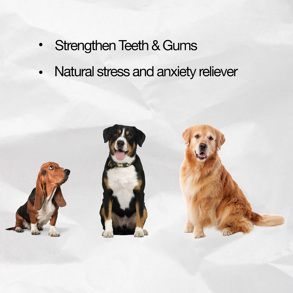 Thumbnail: Chewy Stick - All Natural, Grass-Fed & Free-Range Beef Pizzle