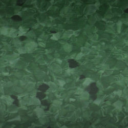 Miniatura: Primo plus