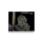 Thumbnail: Poster Watermelon Emoji x Gorilla Candy by Dakota