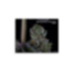 Thumbnail: Poster Watermelon Emoji x Gorilla Candy by Dakota