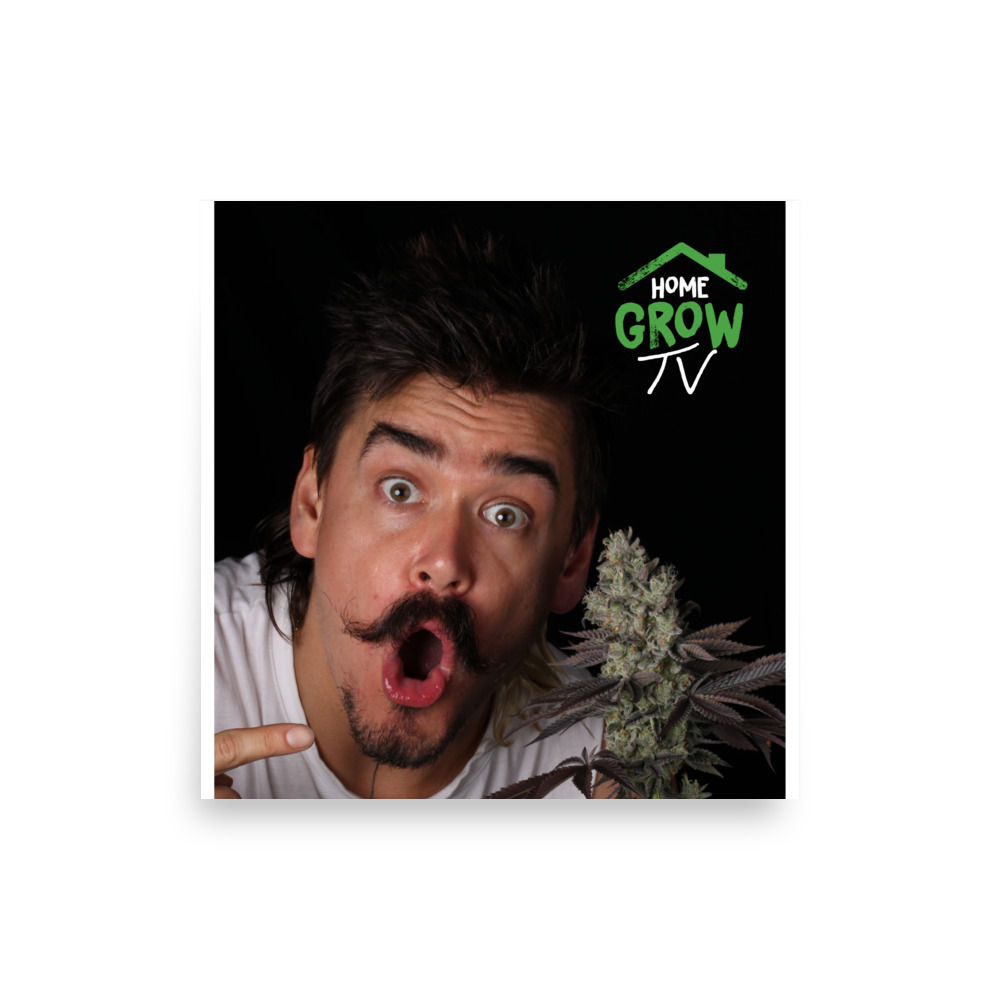 Poster Dakota @ Home Grow Tv