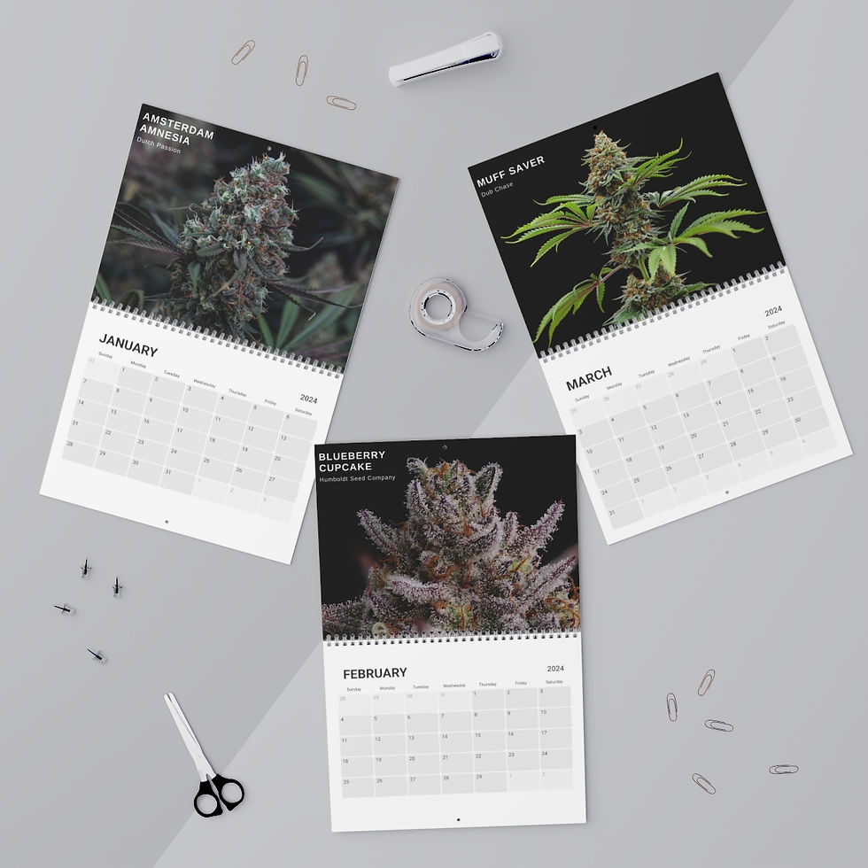 Thumbnail: Home Grow TV's Grow Calendar (2024)