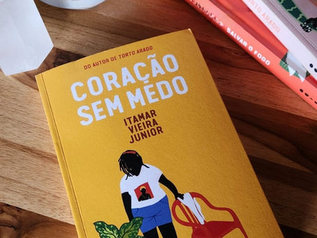 Coração Sem Medo - resenha
