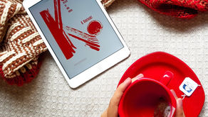 K: relato de uma busca - Resenha