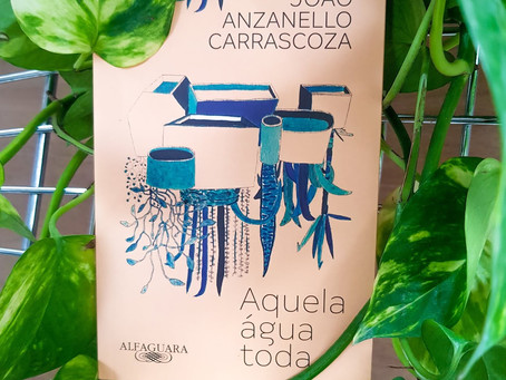 Aquela água toda - Resenha