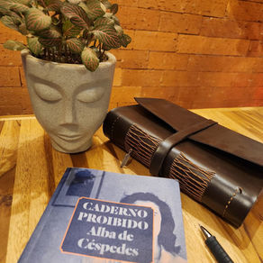 Caderno Proibido - resenha