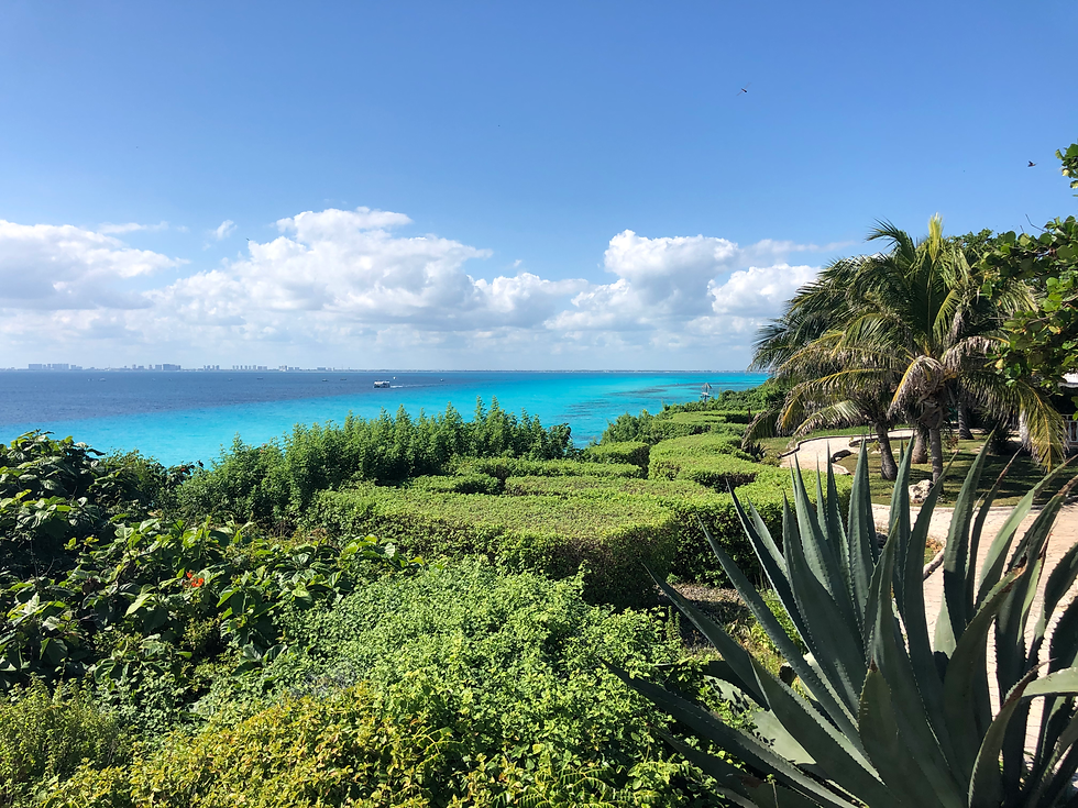 view of lush green trees with an ocean view