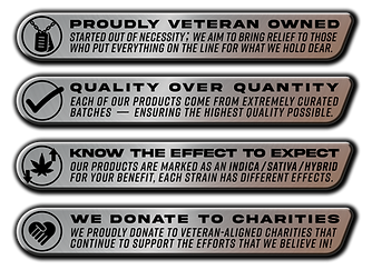 dffd-1024x751.png