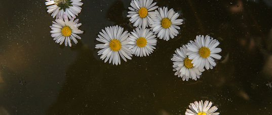 DSC_3207.jpg