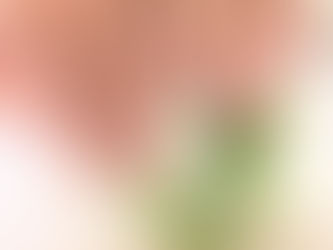 ♪オフィスレオパード♪