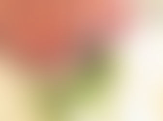 ♪フラワーレース♪