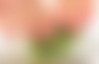 ♪きらきらフレンチ♪