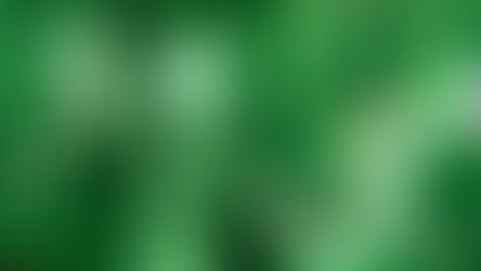 11 Possessão | Juliana Trevisan (Mulheres no Horror)