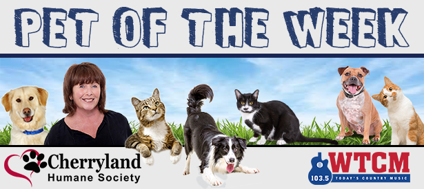 WTCMFM Today's Country Music