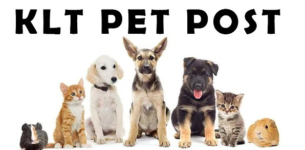pet_post 2022.jpg