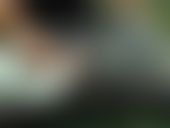 Building An Animatronic Apatosaurus For Jurassic World