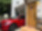 IMG_7980.jpeg