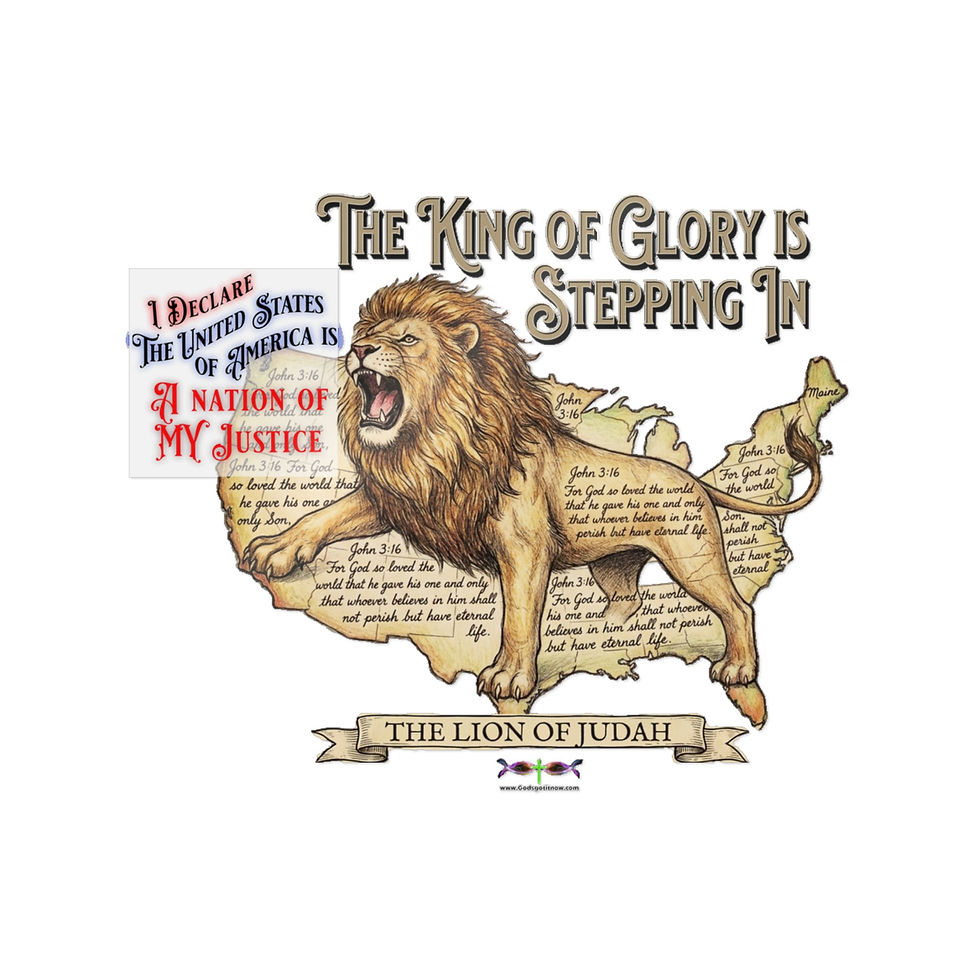 Thumbnail: Clear Sticker w/ Lion of Judah Declaring Justice for the USA scripture John 3:16